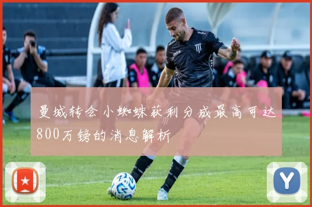 曼城转会小蜘蛛获利分成最高可达800万镑的消息解析