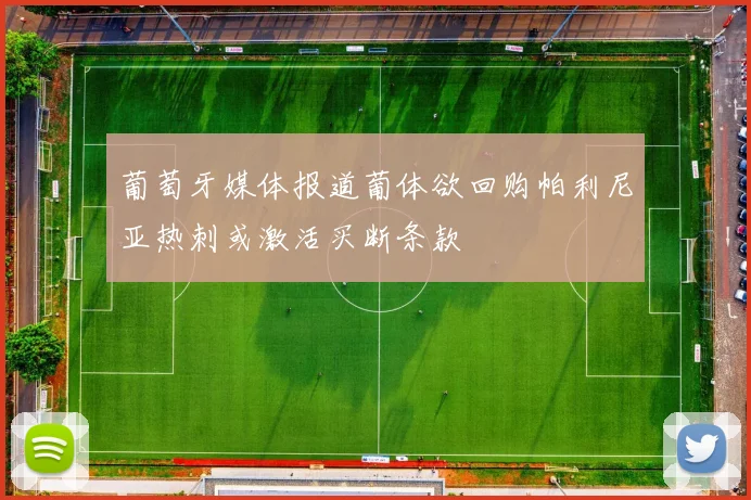 葡萄牙媒体报道葡体欲回购帕利尼亚热刺或激活买断条款